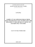 Nghiên cứu đặc điểm diatomeae trong trầm tích holocen vùng ven biển châu thổ sông hồng và mối liên hệ của chúng với dao động mực nước biển 