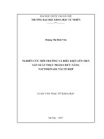Nghiên cứu môi trường và điều kiện lên men sản xuất thực phẩm chức năng nattokinase tái tổ hợp 