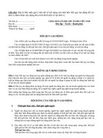 MAU noi quy lao dong moi