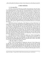 SKKN Một vài kinh nghiệm bồi dưỡng học sinh giỏi về một số dạng toán có chứa dấu giá trị tuyệt đối