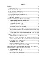 Khóa luận hiệu quả của công tác thông tin đối ngoại