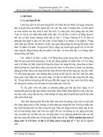 SKKN Kinh nghiệm dạy một số dạng toán về tỉ lệ thức và dãy tỉ số bằng nhau trong Đại số 7