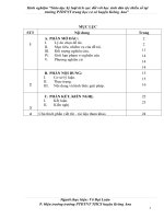 SKKN Giáo dục kỷ luật tích cực đối với học sinh dân tộc thiểu số tại trường PTDTNT trung học cơ sở huyện Krông Ana