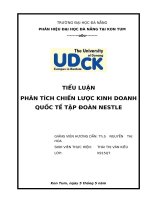 phân tích chiến lược kinh doanh quốc tế công ty nestle