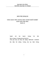 MAU BAI THU HOACH đức