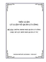 Tiểu luận Chứng minh nhà quản lý công chịu áp lực hơn nhà quản lý tư (Lý luận quản lý công)