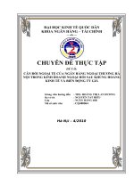 Cân đối ngoại tệ của ngân hàng Ngoại Thương Hà Nội trong kinh doanh ngoại hối sau  khủng hoảng kinh tế và biến động tỷ giá