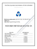 Toan dien tri nao quan ly du an 1