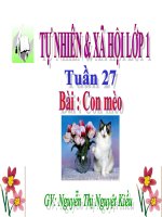 Bai 27 Tu nhien xa hoi Con meo