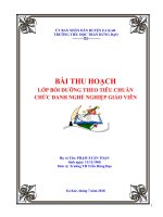 BÀI THU HOẠCH BỒI DƯỠNG THI THĂNG HẠNG II GIÁO VIÊN TIỂU HỌC