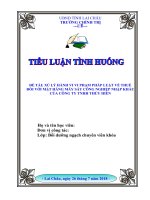 Mẫu Tiểu luận lớp K53