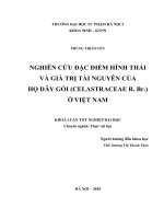 Nghiên cứu đặc điểm hình thái và giá trị tài nguyên của họ dây gối (celastraceae r  br ) ở việt nam