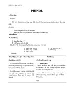 Giáo án Hóa học 11 bài 41: Phenol