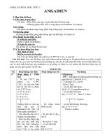 Giáo án Hóa học 11 bài 30: Ankađien
