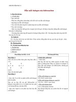 Giáo án Hóa học 11 bài 39: Dẫn xuất halogen của hiđrocacbon