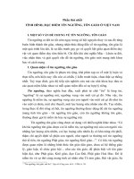 TÀI LIỆU THAM KHẢO   tín NGƯỠNG tôn GIÁO và THỰC HIỆN CHÍNH SÁCH tín NGƯỠNG tôn GIÁO ở VIỆT NAM HIỆN NAY