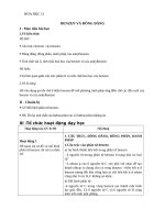 Giáo án Hóa học 11 bài 35: Benzen và đồng đẳng. Một số Hiđrocacbon khác