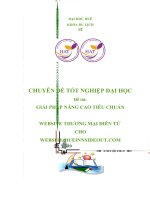 GIẢI PHÁP NÂNG CAO TIÊU CHUẨN WEBSITE THƯƠNG mại điên tử CHO WEBSITE HUEINNSIDEOUT COM