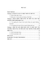 Khóa luận tín ngưỡng thờ cúng tổ tiên của người mường ở hòa bình hiện nay