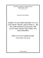 Nghiên cứu đặc điểm sinh học của các loài thuộc chi mua (melastoma l )   họ mua (melastomataceae juss ) thu tại xã ngọc thanh   thị xã phúc yên   tỉnh vĩnh phúc