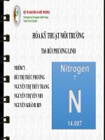Thuyết trình Nito trong môi trường