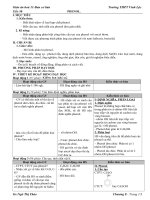 Giáo án Hóa học 11 bài 41: Phenol