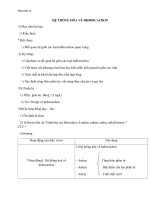 Giáo án Hóa học 11 bài 38: Hệ thống hóa hiđrocacbon