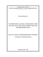 Giải pháp nâng cao chất lượng dịch vụ thẻ tại Ngân hàng TMCP Công Thương Việt Nam  Chi nhánh Sông Công (LV thạc sĩ)