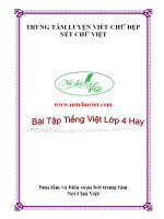 2  bài tập tiếng việt lớp 4 hay 