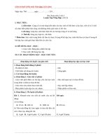 Giáo án buổi chiều môn toán lớp 3 (cả năm) 