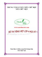 12  đề thi tiếng việt lớp 4 học kì i 