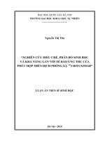 Nghiên cứu điều chế, phân bố sinh học và khả năng gắn với tế bào ung thư của phức hợp miễn dịch phóng xạ 131i rituximab 