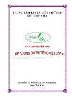 7  đề cương ôn thi tiếng việt lớp 4 