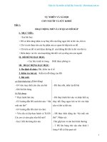 Giáo án trọn bộ lớp 3 môn tự nhiên xã hội 