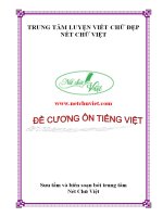 9  đề cương ôn tiếng việt 