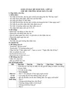 Giáo án dạy hè mầm non giáo án dạy hè lớp lá 