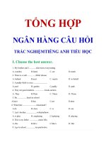 TỔNG hợp NGÂN HÀNG câu hỏi TRẮC NGHIỆM TIẾNG ANH TIỂU học   BUI VAN VINH (file word)
