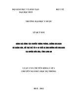 Đánh giá công tác truyền thông phòng, chống HIVAIDS và chăm sóc, hỗ trợ trẻ từ 1118 tuổi bị ảnh hưởng bởi HIVAIDS tại huyện Đức Hòa, tỉnh Long An