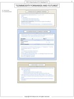 FinQuiz   smart summary, commodity forwards and futures 