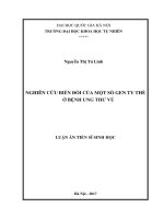 Nghiên cứu biến đổi của một số gen ty thể ở bệnh ung thư vú 