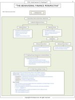 FinQuiz   smart summary, the behavioral finance perspective 