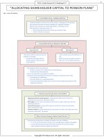 FinQuiz   smart summary, allicatiing sharholder capital to pension plan 