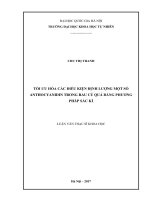 Tối ưu hóa các điều kiện định lượng một số anthocyanidin trong rau củ quả bằng phương pháp sắc kí 