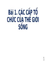 Bài 1 Các cấp tổ chức của thế giới sống