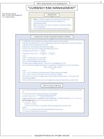 FinQuiz   smart summary, currency risk management 