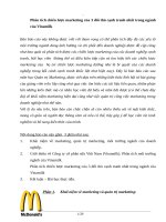 Phân tích chiến lược marketing của 3 đối thủ cạnh tranh nhất trong ngành của vinamilk 