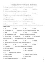 Collocations and idioms 