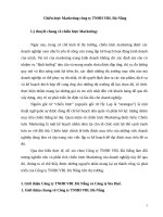 Chiến lược marketing công ty TNHH VBL đà nẵng 