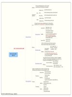 ON TAP LY THUYET TAI CHINH TIEN TE CAU 11