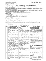 Giáo án bài "Đặc điểm loại hình tiếng Việt"